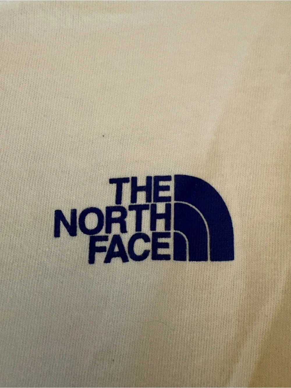 The North Face white short